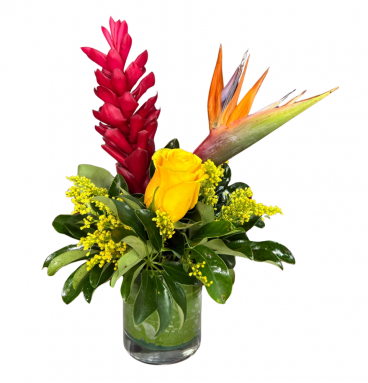 CM01 -Centro Floral Tropical