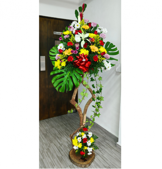 PD02 Arreglo Pedestal Inauguración