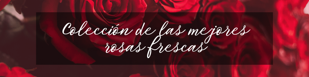 Rosas Rosas