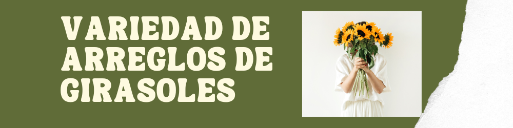 Girasoles Girasoles