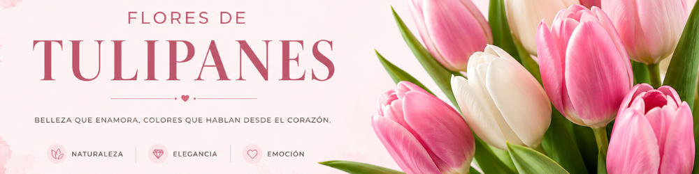 Tulipanes Tulipanes