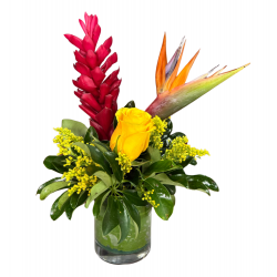 CM01 -Centro Floral Tropical