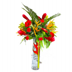 CM05 -Arreglo Floral Tropical Exótico con Ave del Paraíso y Flores Rojas