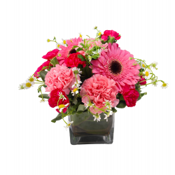 CM04 -Arreglo Floral Rosa Elegancia con Gerberas y Claveles