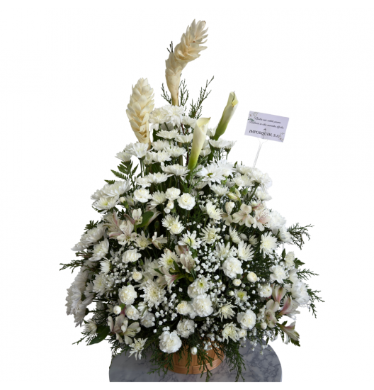 VA29 - Jardín de Paz Eterna – Arreglo Floral de Condolencias