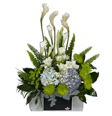 VA31 - Tributo Serenidad Tropical con Hortensias y Calas Blancas