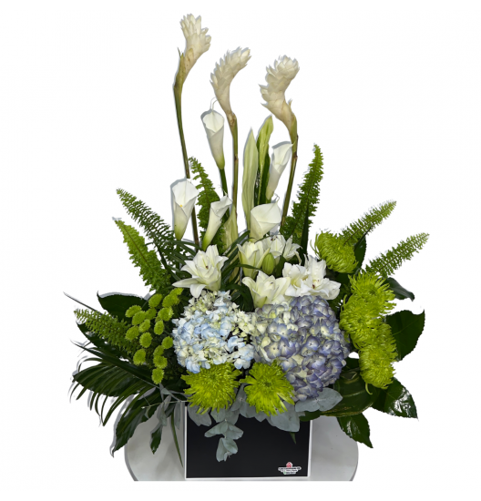 VA31 - Tributo Serenidad Tropical con Hortensias y Calas Blancas