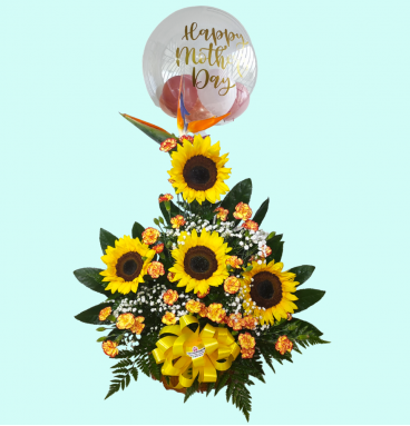 MD10 Sunflower 