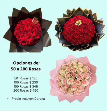 MD36 - Ramos Buchones