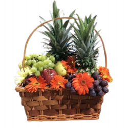 CF05 - Canasta de Frutas