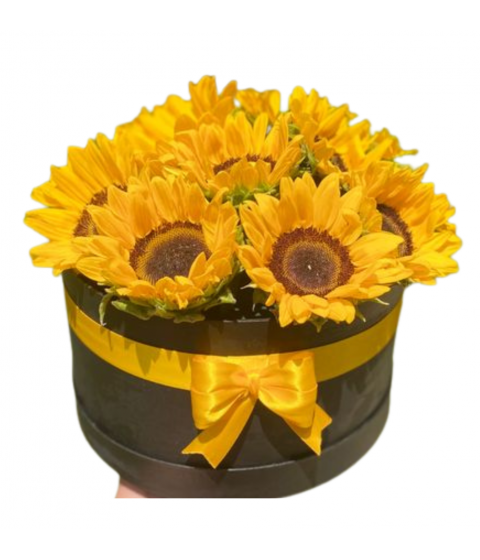 GI01 - Descubre Girasoles Envasados | Un Toque de la Brillantez de la Naturaleza