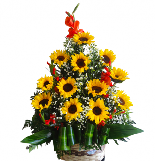 GI05 - Canasta de Girasoles