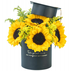 GRAD02 - Cajas de Regalo de Graduación | Regalos Personalizados y Considerados