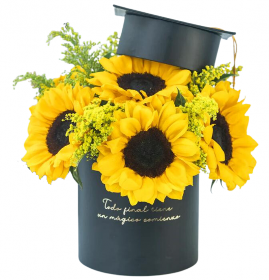 GRAD02 - Cajas de Regalo de Graduación | Regalos Personalizados y Considerados