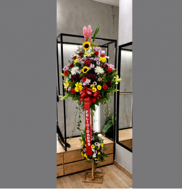 PD01 Arreglo Pedestal Inauguración