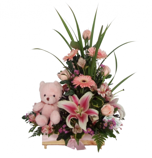 NA02 - Arreglo de Nacimiento 