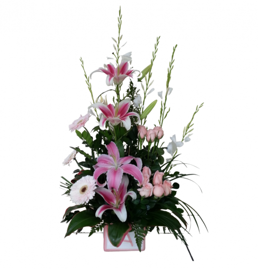 NA03 - Arreglo de Nacimiento 