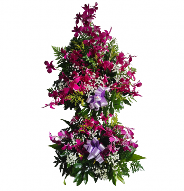 OR02 - Arreglo de Orquídeas Elegante