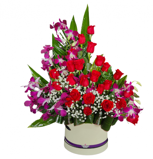 OR01 - Caja Elegante con Orquídeas y Rosas Rojas