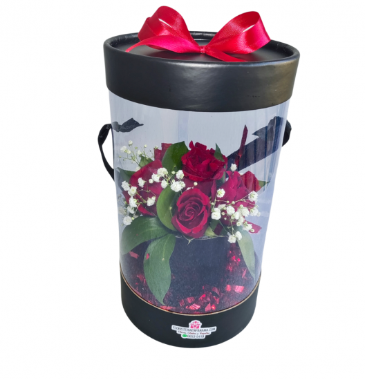 RO04 - Rosas en Cápsula