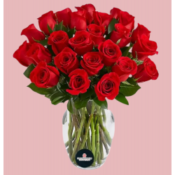VD12 - Vase of 24 roses