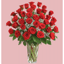 VD13 - Vase of 36 roses