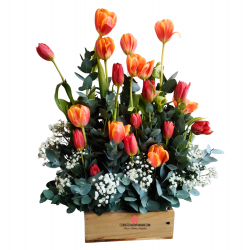 TL03 - Caja Premium de Tulipanes Sunset TL03 - Caja Premium de Tulipanes Sunset