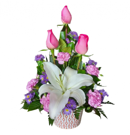 VA05 - Arreglo Variado