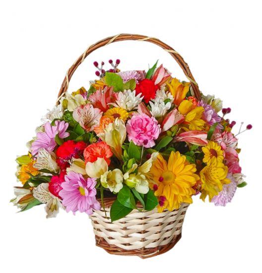 VA12 - Canasta Variada